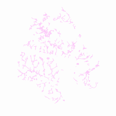 Export Image