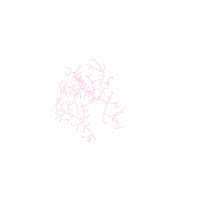 Export Image