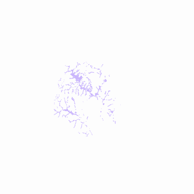 Export Image
